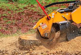 How Our Tree Care Process Works  in  Napavine, WA